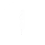 Back icon